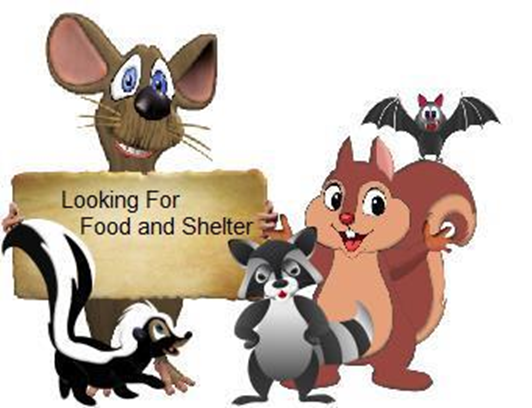 NUSIENCE ANIMALS CLIP ART